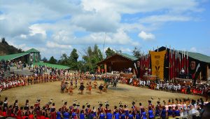Horn bill festival
