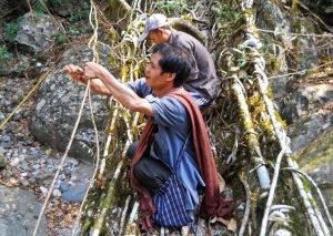 Double Decker Living Root Bridge Trek