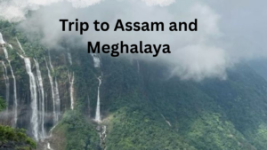 trip to assam and meghalaya