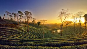 how to reach assam
