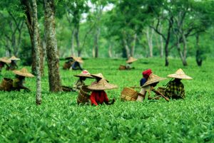 how to reach assam
